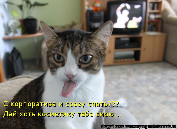 С корпоратива и сразу спать??? Дай хоть косметику тебе смою...... Котоматрица: С корпоратива и сразу спать??? Дай хоть косметику тебе смою...