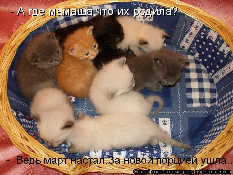 - А где мамаша,что их родила? - Ведь март настал.За новой порцией ушла........ Котоматрица: - А где мамаша,что их родила? - Ведь март настал.За новой порцией ушла.....
