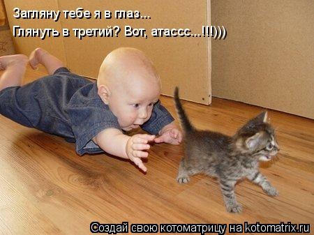 Котоматрица: Загляну тебе я в глаз... Глянуть в третий? Вот, атассс...!!!)))