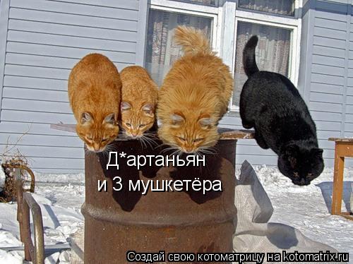 Котоматрица: Д*артаньян  и 3 мушкетёра