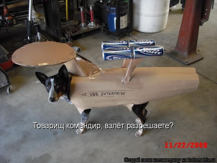 Котоматрица: Товарищ командир, взлёт разрешаете?