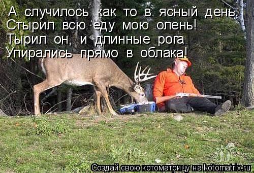 Котоматрица: А  случилось  как  то  в  ясный  день, Стырил  всю  еду  мою  олень! Тырил  он,  и  длинные  рога Тырил  он,  и  длинные  рога Упирались  прямо  в  об