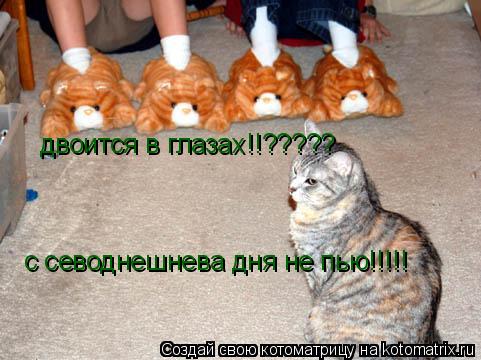 Котоматрица: двоится в глазах!!????? с севоднешнева дня не пью!!!!!