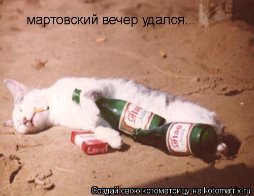 Котоматрица: мартовский вечер удался...