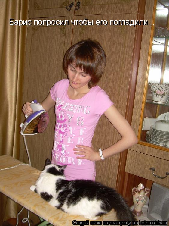 Котоматрица: Барис попросил чтобы его погладили...