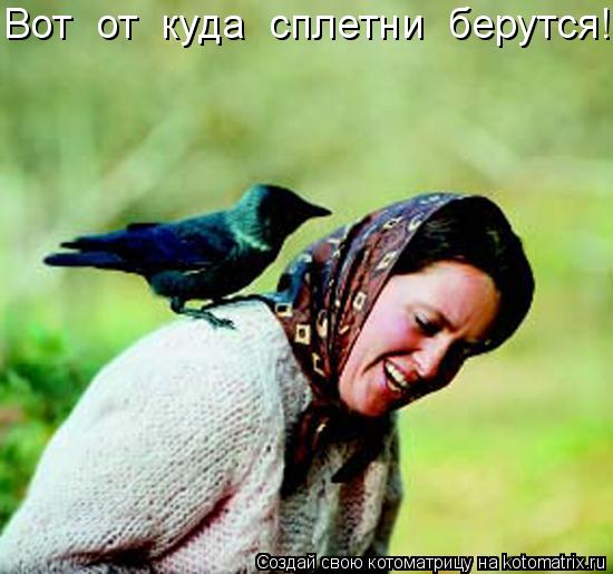 Котоматрица: Вот  от  куда  сплетни  берутся!