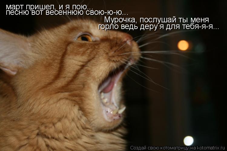 Котоматрица: март пришел, и я пою... песню вот весеннюю свою-ю-ю... Мурочка, послушай ты меня горло ведь деру я для тебя-я-я...