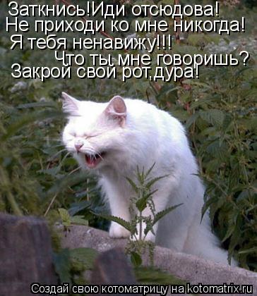Котоматрица: Заткнись!Иди отсюдова! Не приходи ко мне никогда! Я тебя ненавижу!!! Что ты мне говоришь? Закрой свой рот,дура!