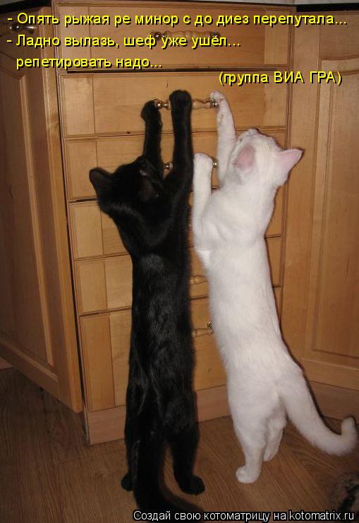 Котоматрица: - Опять рыжая ре минор с до диез перепутала... - Ладно вылазь, шеф уже ушел... (группа ВИА ГРА) репетировать надо...
