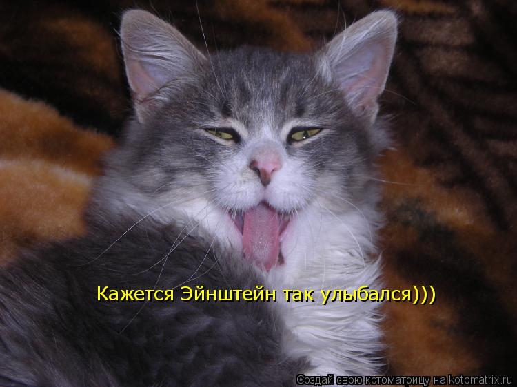 Котоматрица: Кажется Эйнштейн так улыбался)))