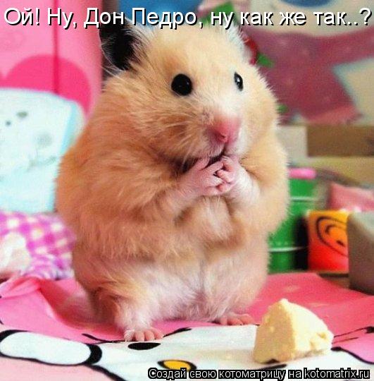 Котоматрица: Ой! Ну, Дон Педро, ну как же так..?