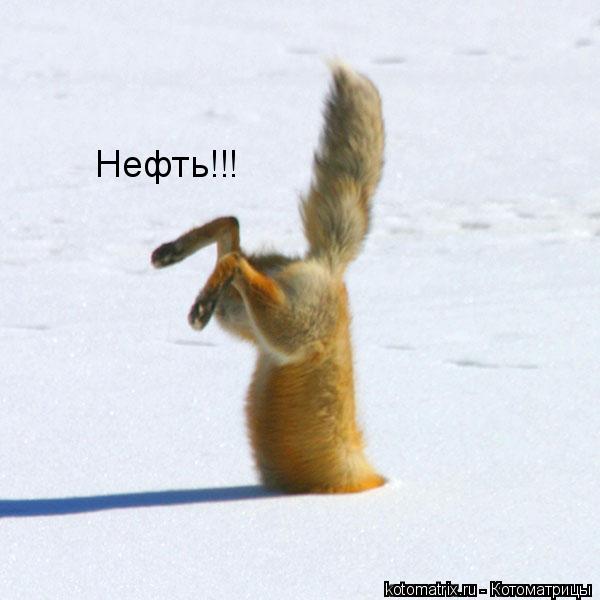Нефть!!!... Котоматрица: Нефть!!!