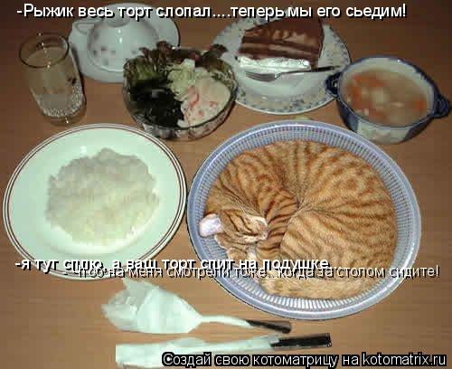 -Рыжик весь торт слопал....теперь мы его сьедим! -я тут сплю, а ваш торт спит на подушке... - Чтоб н... Котоматрица: -Рыжик весь торт слопал....теперь мы его сьедим! -я тут сплю, а ваш торт спит на подушке... - Чтоб на меня смотрели тоже...когда за столом сидите!