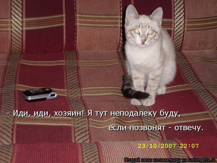 - Иди, иди, хозяин! Я тут неподалеку буду, если позвонят - отвечу.... Котоматрица: - Иди, иди, хозяин! Я тут неподалеку буду, если позвонят - отвечу.