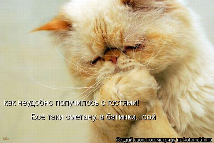 как неудобно получилось с гостями! Всё таки сметану..в батинки...оой... Котоматрица: как неудобно получилось с гостями! Всё таки сметану..в батинки...оой