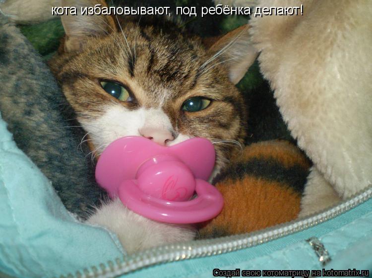 Котоматрица: кота избаловывают, под ребёнка делают!