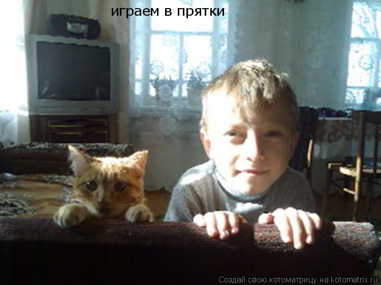Котоматрица: играем в прятки