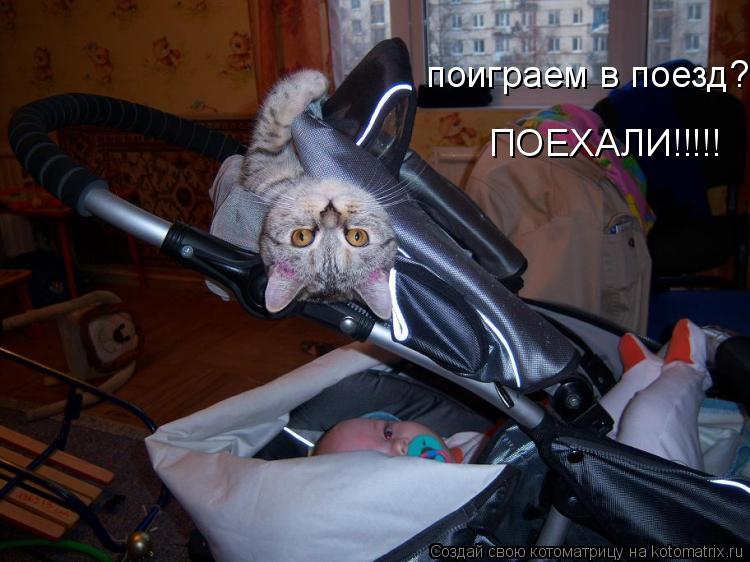Котоматрица: ПОЕХАЛИ!!!!! поиграем в поезд?