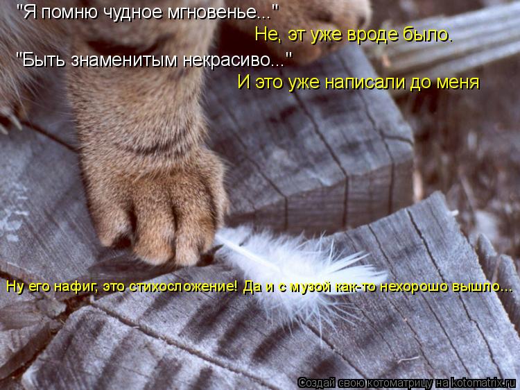 Котоматрица: "Я помню чудное мгновенье..." Не, эт уже вроде было. "Быть знаменитым некрасиво..." И это уже написали до меня Ну его нафиг, это стихосложение! Да