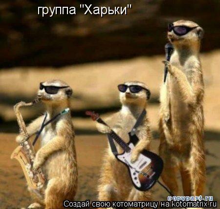 Котоматрица: группа "Харьки"