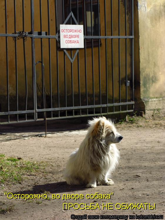 "Осторожно, во дворе собака" ПРОСЬБА НЕ ОБИЖАТЬ!... Котоматрица: "Осторожно, во дворе собака" ПРОСЬБА НЕ ОБИЖАТЬ!