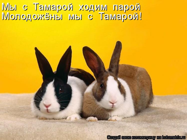 Мы с Тамарой ходим парой Молодожёны мы с Тамарой!... Котоматрица: Мы с Тамарой ходим парой Молодожёны мы с Тамарой!