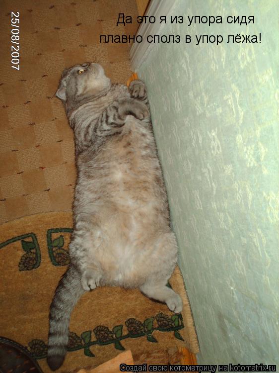 Да это я из упора сидя плавно сполз в упор лёжа!... Котоматрица: Да это я из упора сидя плавно сполз в упор лёжа!
