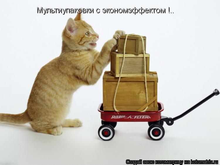 Мультиупаковки с экономэффектом !..... Котоматрица: Мультиупаковки с экономэффектом !..