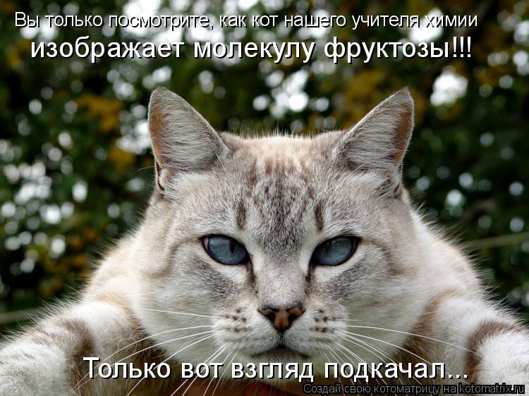 Вы только посмотрите, как кот нашего учителя химии изображает молекулу фруктозы!!! Только вот взгляд ... Котоматрица: Вы только посмотрите, как кот нашего учителя химии изображает молекулу фруктозы!!! Только вот взгляд подкачал...