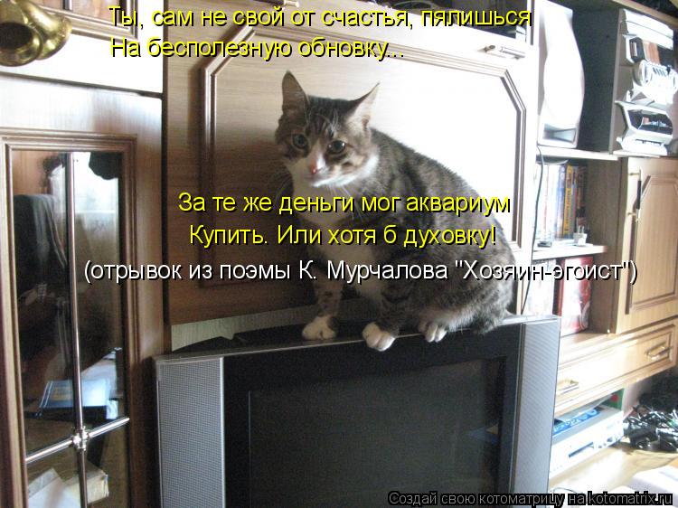Ты, сам не свой от счастья, пялишься На бесполезную обновку... За те же деньги мог аквариум Купить. И... Котоматрица: Ты, сам не свой от счастья, пялишься На бесполезную обновку... За те же деньги мог аквариум Купить. Или хотя б духовку! (отрывок из поэмы К. Мур