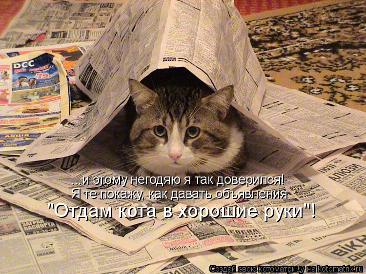 ...и этому негодяю я так доверился! Я те покажу, как давать объявления "Отдам кота в хорошие руки"!... Котоматрица: ...и этому негодяю я так доверился! Я те покажу, как давать объявления "Отдам кота в хорошие руки"!