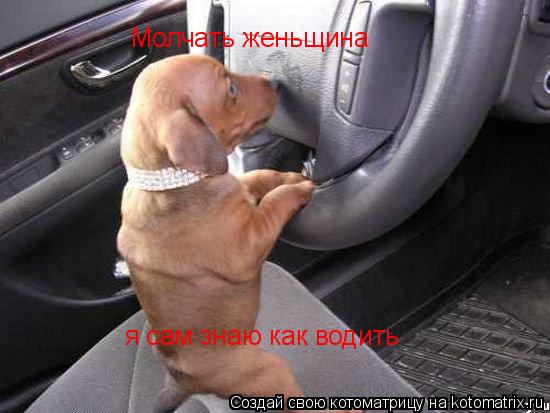 Молчать женьщина Молчать женьщина я сам знаю как водить... Котоматрица: Молчать женьщина Молчать женьщина я сам знаю как водить
