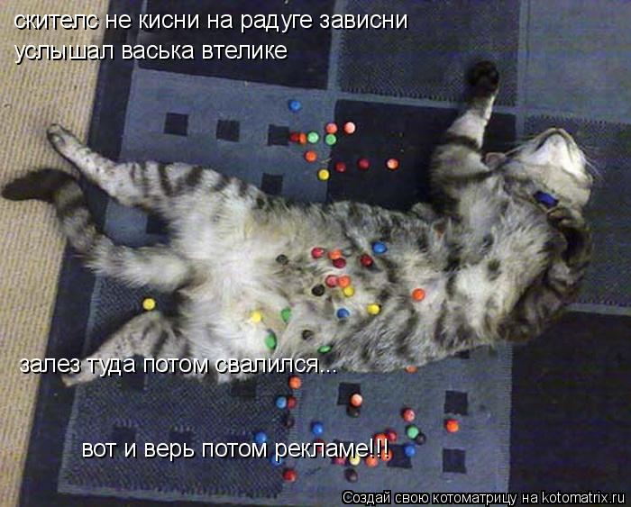 скителс не кисни на радуге зависни услышал васька втелике залез туда потом свалился... вот и верь пот... Котоматрица: скителс не кисни на радуге зависни услышал васька втелике залез туда потом свалился... вот и верь потом рекламе!!!