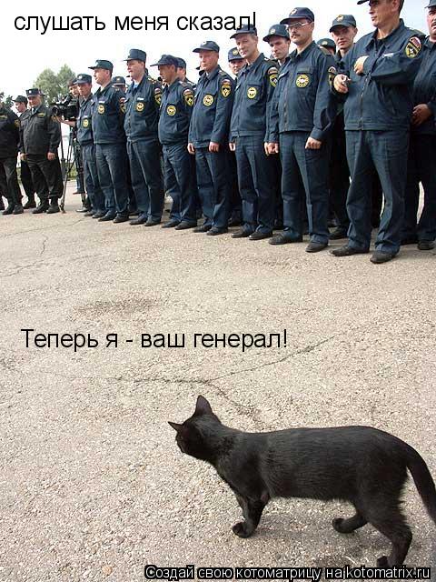 слушать меня сказал! Теперь я - ваш генерал!... Котоматрица: слушать меня сказал! Теперь я - ваш генерал!