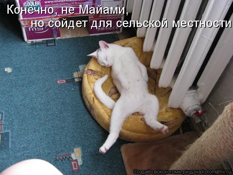 Конечно, не Майами, но сойдет для сельской местности.... Котоматрица: Конечно, не Майами, но сойдет для сельской местности.