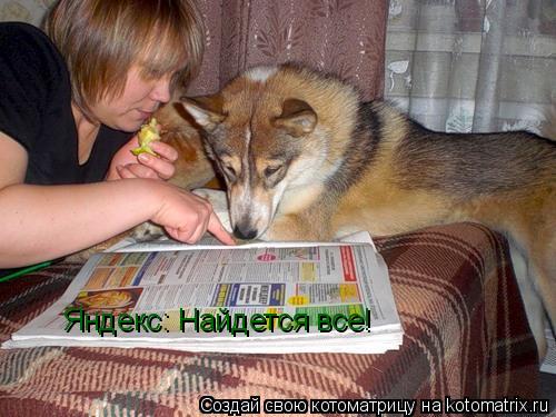 Яндекс: Найдется все!... Котоматрица: Яндекс: Найдется все!