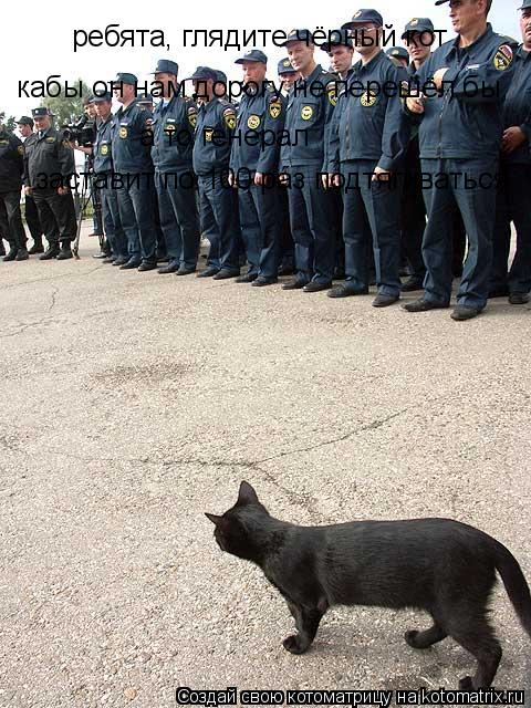 ребята, глядите чёрный кот кабы он нам дорогу не перешёл бы, а то генерал заставит по 100 раз подтя... Котоматрица: ребята, глядите чёрный кот кабы он нам дорогу не перешёл бы, а то генерал заставит по 100 раз подтягиваться