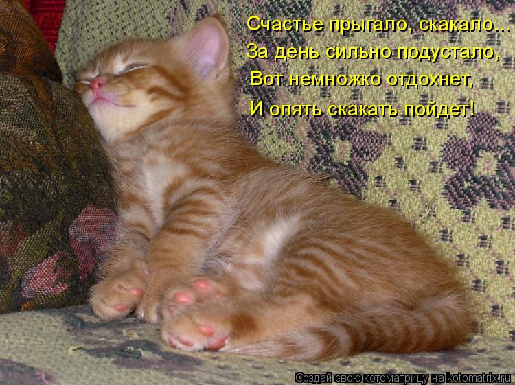 Счастье прыгало, скакало... За день сильно подустало, Вот немножко отдохнет, И опять скакать пойдет!... Котоматрица: Счастье прыгало, скакало... За день сильно подустало, Вот немножко отдохнет, И опять скакать пойдет!