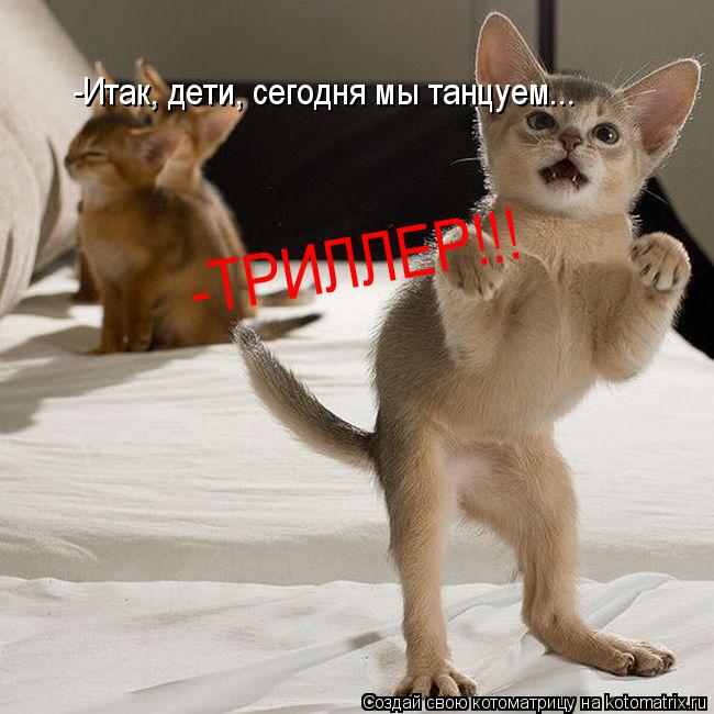 -Итак, дети, сегодня мы танцуем... -ТРИЛЛЕР!!!... Котоматрица: -Итак, дети, сегодня мы танцуем... -ТРИЛЛЕР!!!