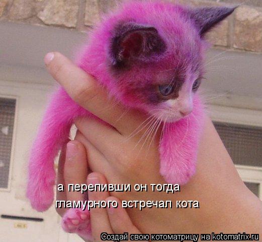 а перепивши он тогда гламурного встречал кота... Котоматрица: а перепивши он тогда гламурного встречал кота