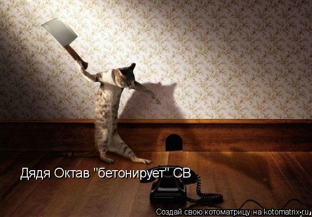 Котоматрица: Дядя Октав "бетонирует" СВ