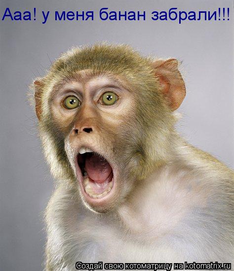 Котоматрица: Ааа! у меня банан забрали!!!