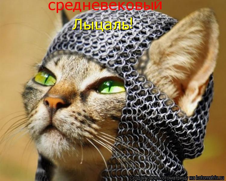 Котоматрица: Лыцаль средневековы й !