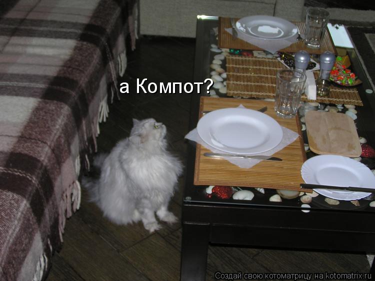 Котоматрица: а Компот?