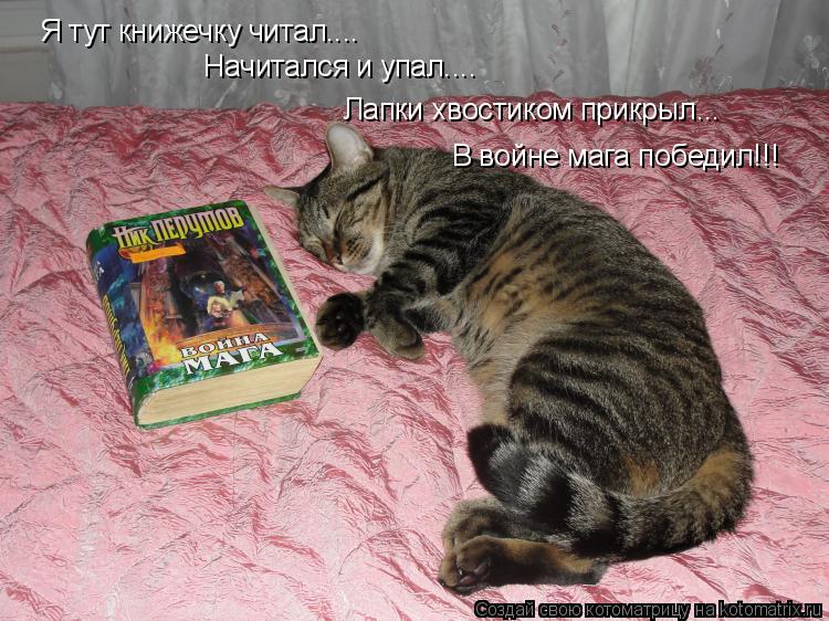Котоматрица: Я тут книжечку читал.... Начитался и упал.... Лапки хвостиком прикрыл... В войне мага победил!!!