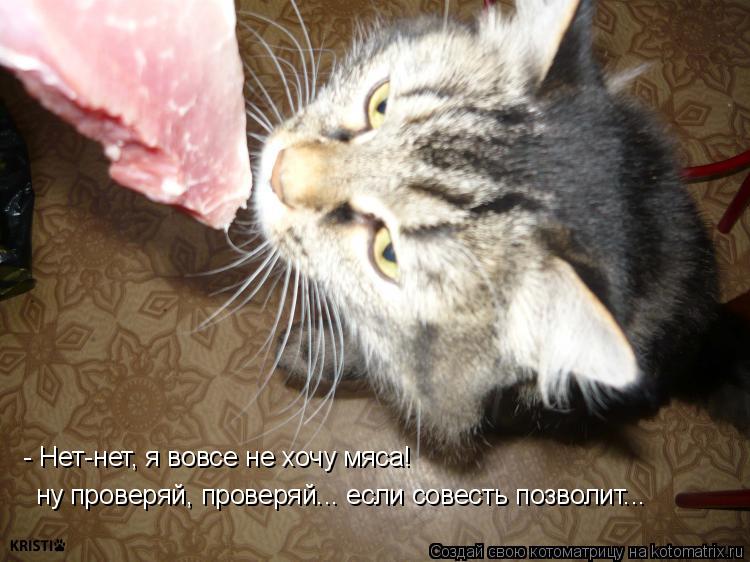- Нет-нет, я вовсе не хочу мяса! ну проверяй, проверяй... если совесть позволит...... Котоматрица: - Нет-нет, я вовсе не хочу мяса! ну проверяй, проверяй... если совесть позволит...