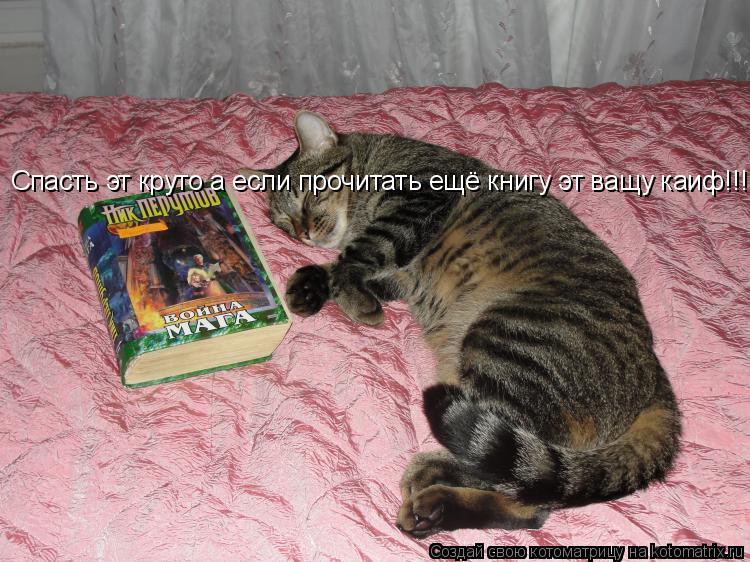 Спасть эт круто а если прочитать ещё книгу эт ващу каиф!!!!... Котоматрица: Спасть эт круто а если прочитать ещё книгу эт ващу каиф!!!!