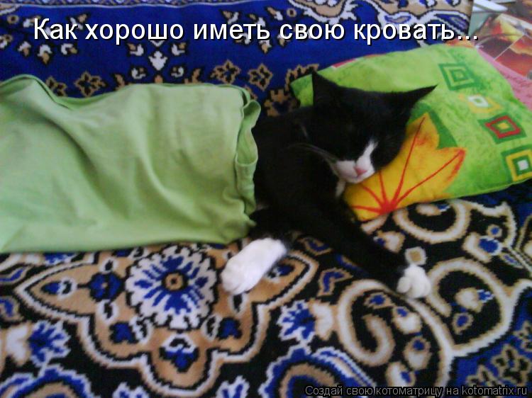 Как хорошо иметь свою кровать...... Котоматрица: Как хорошо иметь свою кровать...