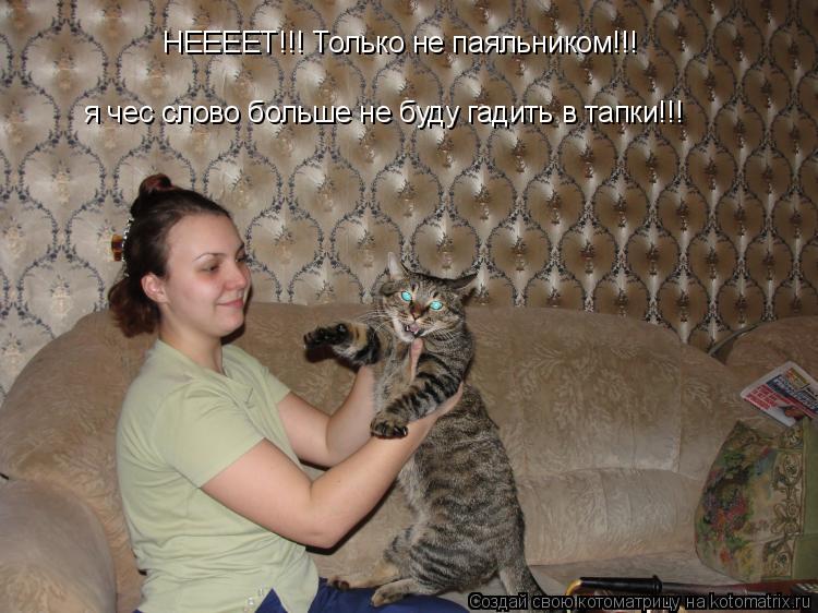 НЕЕЕЕТ!!! Только не паяльником!!! я чес слово больше не буду гадить в тапки!!!... Котоматрица: НЕЕЕЕТ!!! Только не паяльником!!! я чес слово больше не буду гадить в тапки!!!