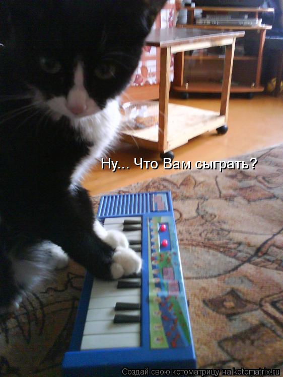 Ну... Что Вам сыграть?... Котоматрица: Ну... Что Вам сыграть?